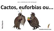 O morcego Roque, cactus e outras